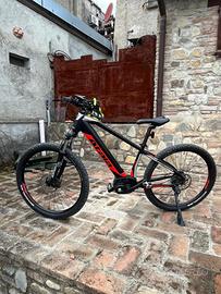 e-bike