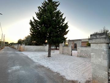 Villetta da rifinire con terreno e ulivi in Puglia