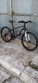 Bici da 24