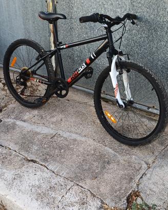 Bici da 24