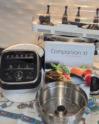 Moulinex Companion XL Mod. HF805