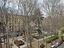 Immagine 29
