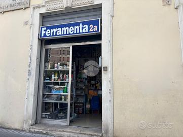 ATTIVITÀ A TERNI