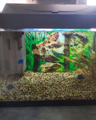 Acquario 30 litri 
