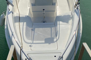 Barca winnebago 19+ motore mercury 40 cv