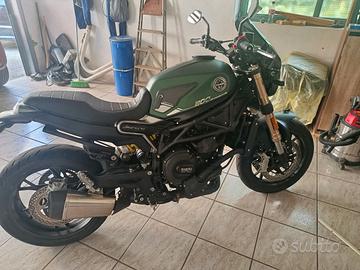 Benelli leoncino 800 
