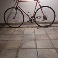 Bicicletta Olmo sitexs Columbus