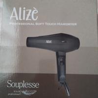 Professional hairdryer