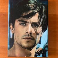 Quadro di Alain Delon
