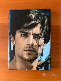 Quadro di Alain Delon