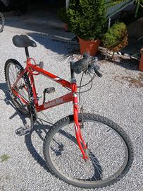 Bicicletta