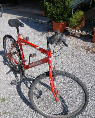 Bicicletta