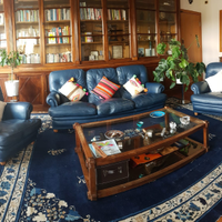 Divano e poltrone blu pelle