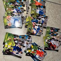 Card calciatori panini