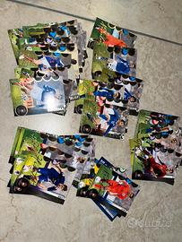 Card calciatori panini