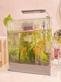 Acquario Completo