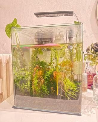 Acquario Completo