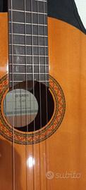 chitarra