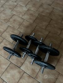Palestra