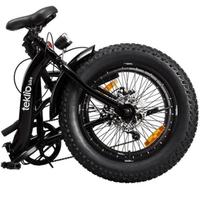 Fat bike