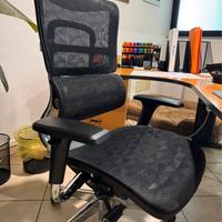 SEDIA PROFESSIONALE ERGONOMICA