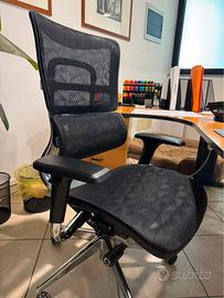 SEDIA PROFESSIONALE ERGONOMICA