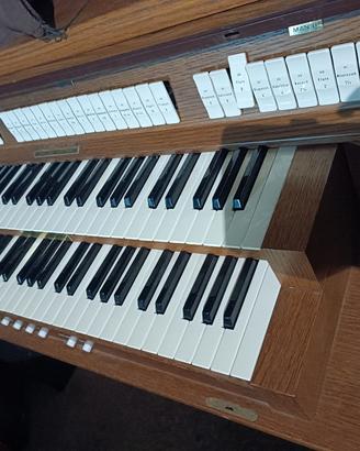 organo liturgico domus viscount 80