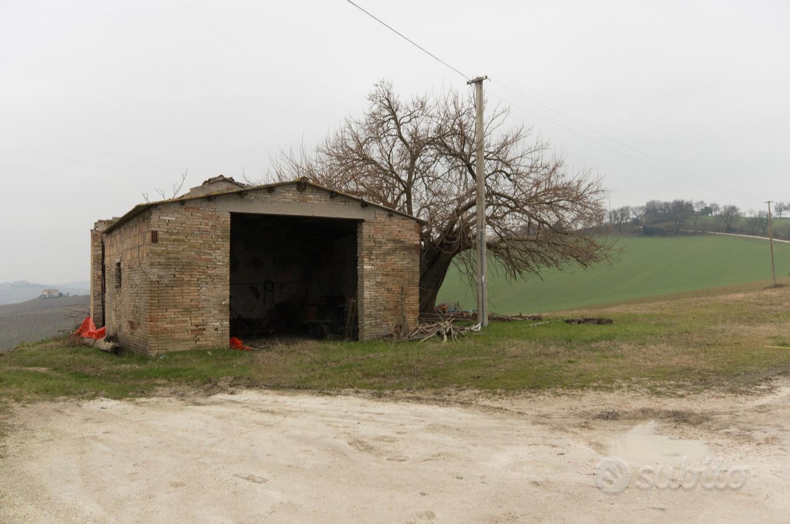 Terreno e rustico agricolo - Vista 3