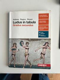 Ludus in fabula gradus secundus