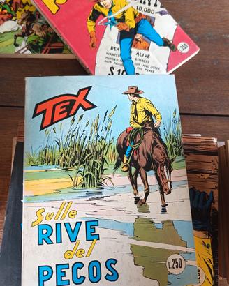 fumetto tex 