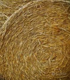 Paglia in rotoballe