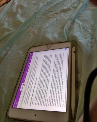 iPad mini 5 wifi cellular schermo con lesioni  m

