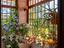 Immagine 11