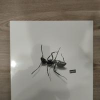 Vinile Gazzelle - Indi