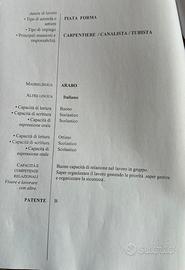 Manuale anche autista Magazziniere Patente B