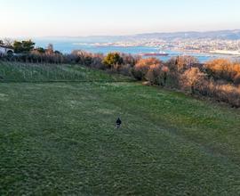 Rif.561| terreno agricolo muggia