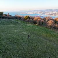 Rif.561| terreno agricolo muggia