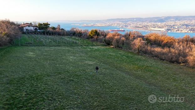 Rif.561| terreno agricolo muggia