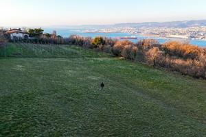 Rif.561| terreno agricolo muggia