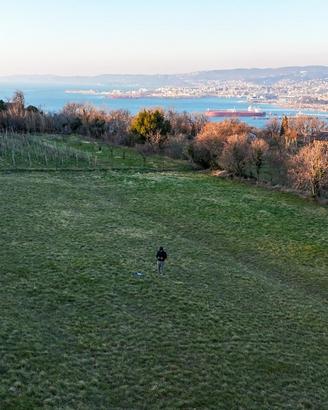 Rif.561| terreno agricolo muggia