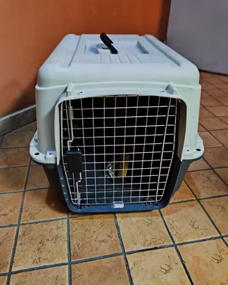 Trasportino per cani