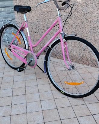 Bici da donna regina Gomme Nuove