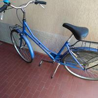 Bicicletta da donna holland