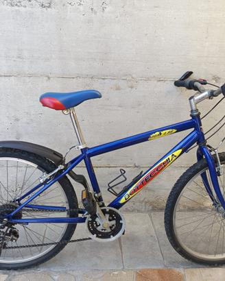 Mountain bike 24"