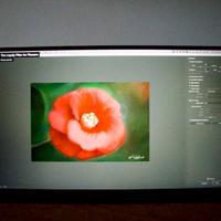 Monitor portatile 17" in garanzia