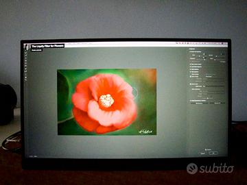 Monitor portatile 17" in garanzia