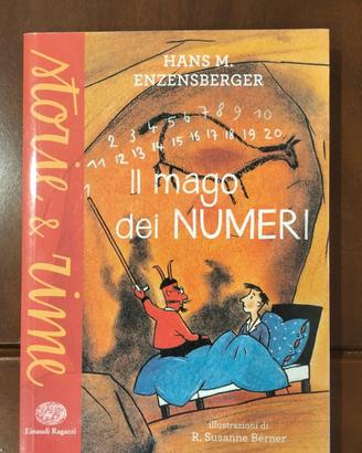 il mago dei numeri