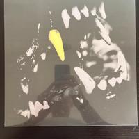 Disco in vinile di musica rap in edizione limitata