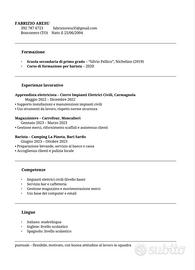 BARISTA/CAMERIERE/EDILIZIA/ELETTRICISTA 