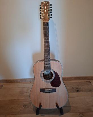 chitarra acustica 12 corde